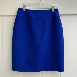 Blue Pencil Skirt